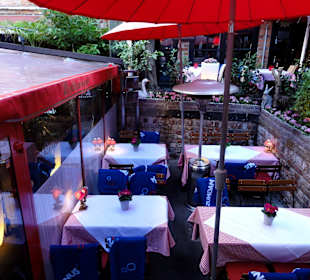 Terrassenplätze des Katzen-Cafés
