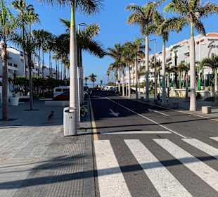 Sonstiges