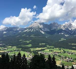 Ausblick vom Hollenauer Kreuz