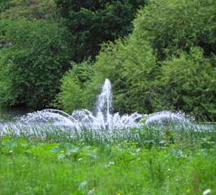 St. James´s Park Impressionen