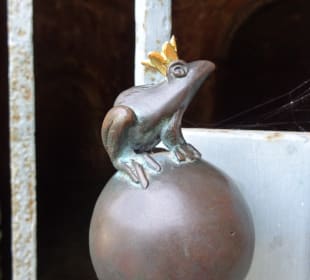 Schloss Heidelberg und Umgebung