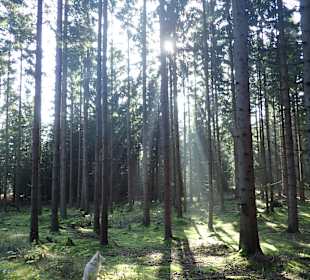 Naturpark Blockheide