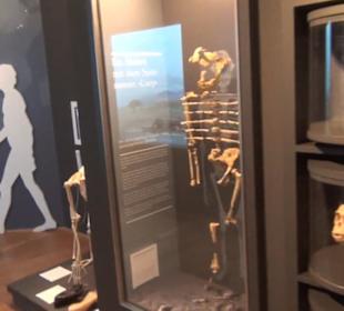 Niedersächsisches Landesmuseum