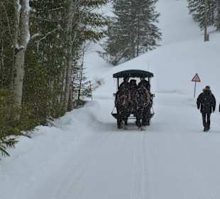 Pferdeschlittenfahrt