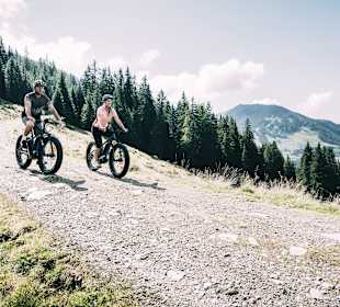 Wandern Donnersbachwald