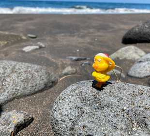 Strand Playa del Ingles 