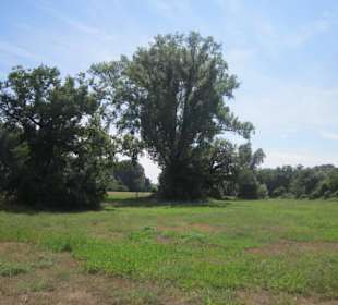 Am Rhein in Germersheim