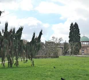 Spaziergang im Botanischen Garten von Karlsruhe