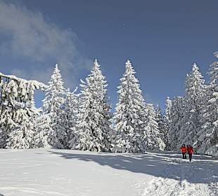 Skigebiet Achslach