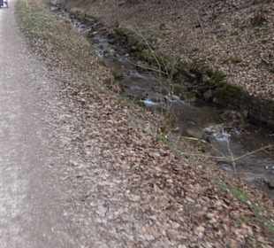 Geologischer Lehrpfad Kirnbachtal