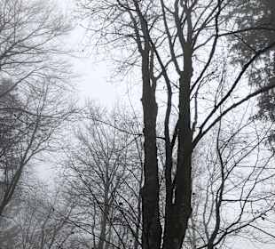 Wandern Drachselsried
