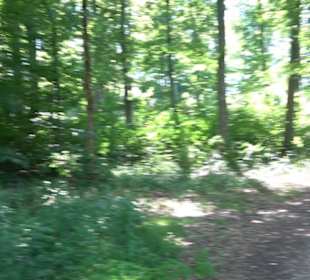 Burg Hölnstein Stetten u. Holstein