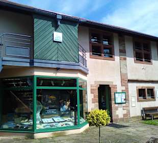 Altstadt La Petite Pierre in La Petite Pierre