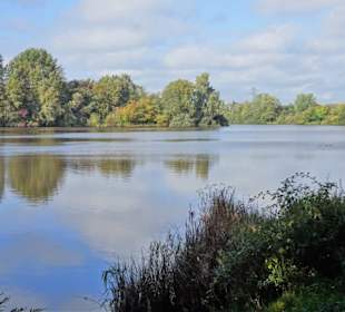 Impressionen vom Spaziergang am Drielaker See