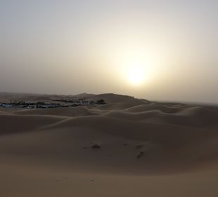 Wüstentour Abu Dhabi