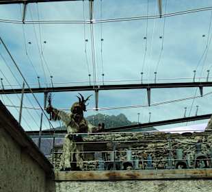 Glasdach mit Krampus