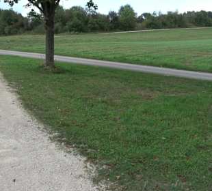 Aussichtsterrasse Sternenpark-Stützpunkt Zainingen