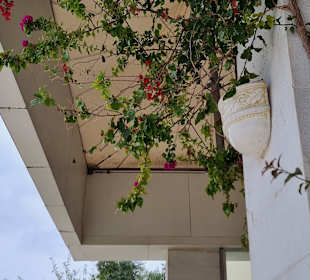 Garten Obergeschoss 