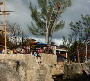 Klippenspringer bei Ricks Cafe
