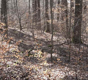 Geschichtlicher Lehrpfad Einsiedel