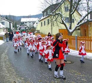 Fachingszug in Happurg 2010
