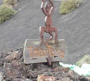 Da hat wohl jemand Müll entsorgt. Schade