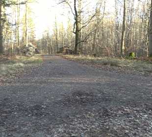 Ochsenweiher Rundweg