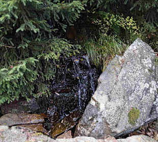 Riesengebirge/Karkonosze