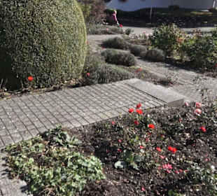 Rosengarten
