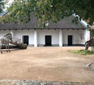 Zebrahaus
