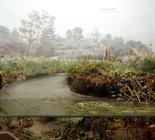 Diorama eines natürlichen Bachlaufes