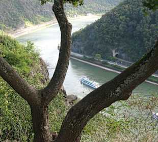 Blick auf den Rhein
