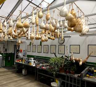 Eingangsbereich zu den tropischen Gewächshäusern