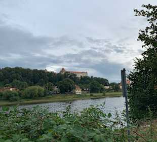 Wandern Pirna
