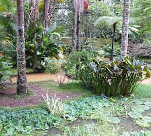 Parque Terra Nostra