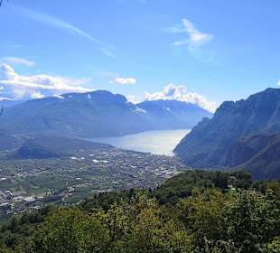 Ausblick