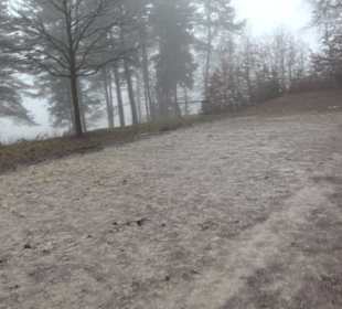 Auernheimer Krippenweg