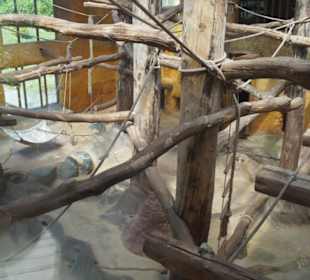 Zoo Arche Noah Grömitz