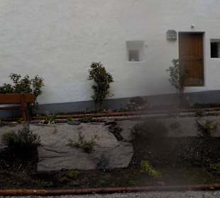 Pflanzen frisch gesetzt