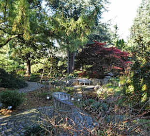 Rundgang durch den Botanischen Garten Hamburg