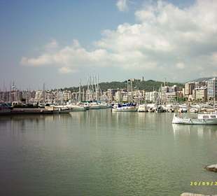 Hafen von Palma
