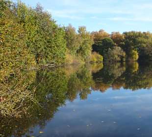Impressionen vom Rundgang am Achterdieksee