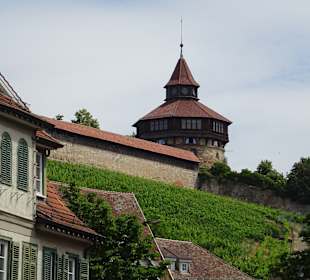 Burg Esslingen