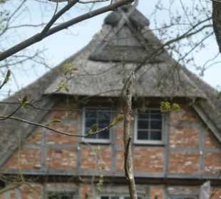 Altes Haus in Rosenhagen