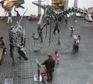 Senckenberg