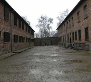 Auschwitz