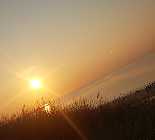 Strand Renesse