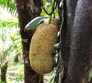 Wandern Sunset Beach