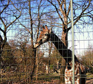 Zoo Dortmund - Die Tiere