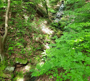 Steinbach Klamm 